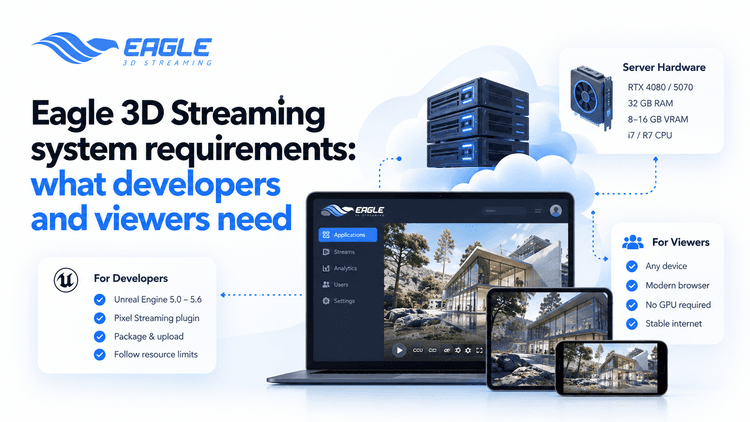 Eagle 3D Streaming system requirements: what developers and viewers need